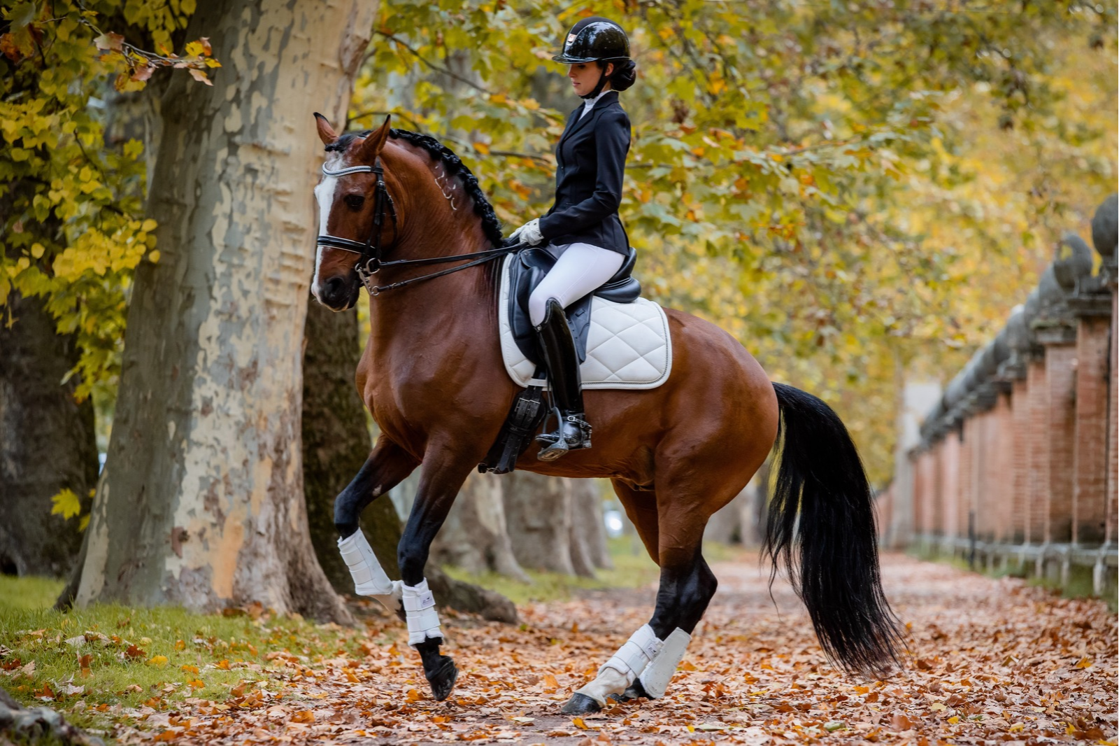 Autumn and Winter Equestrian Elegance – Style and Comfort for the Colder Season